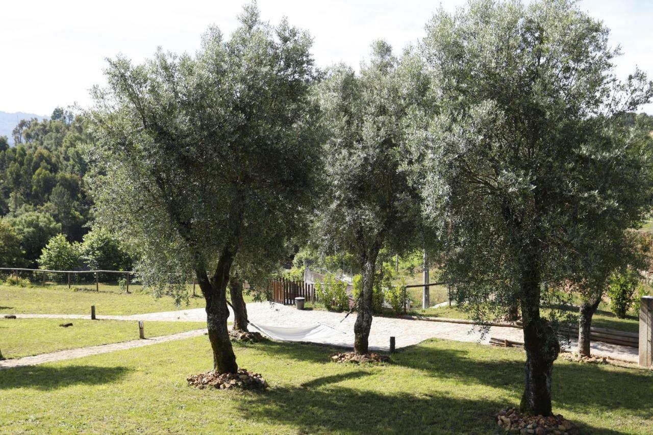 Ternaldo Agroturismo & Relax Arco de Baulhe Exterior foto
